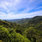 Sagara Lakmal De Mel Photography